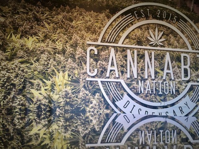 Cannabis Nation