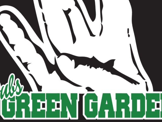 Dubs Green Garden