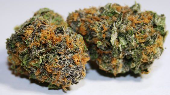 Buds Premium Cannabis- De Beque