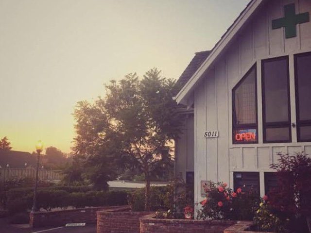 Therapeutic Healthcare Collective