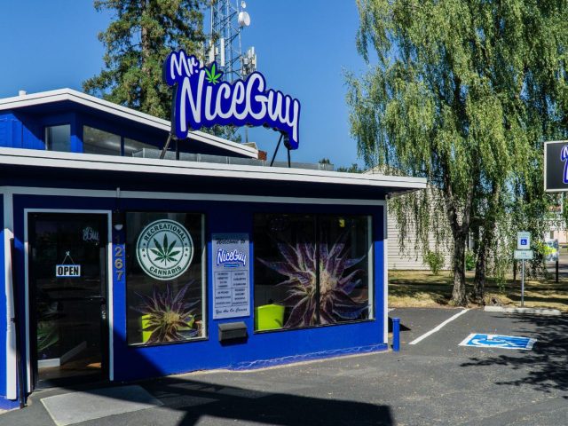 Mr. Nice Guy