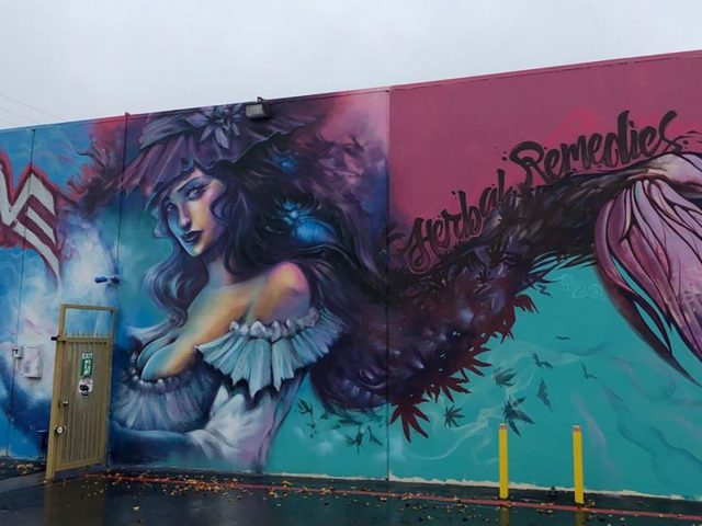 Herbal Remedies Caregivers