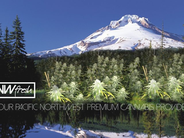 Five Zero Trees Division