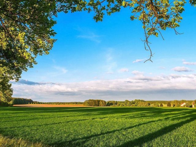 Maggie's Farm in Colorado Springs