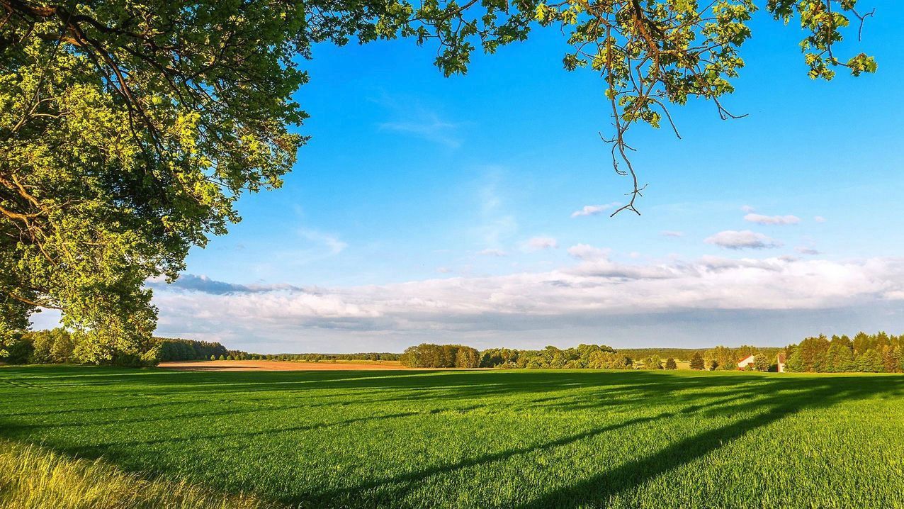 Maggie's Farm in Colorado Springs