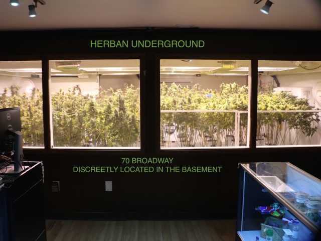 Herban Underground