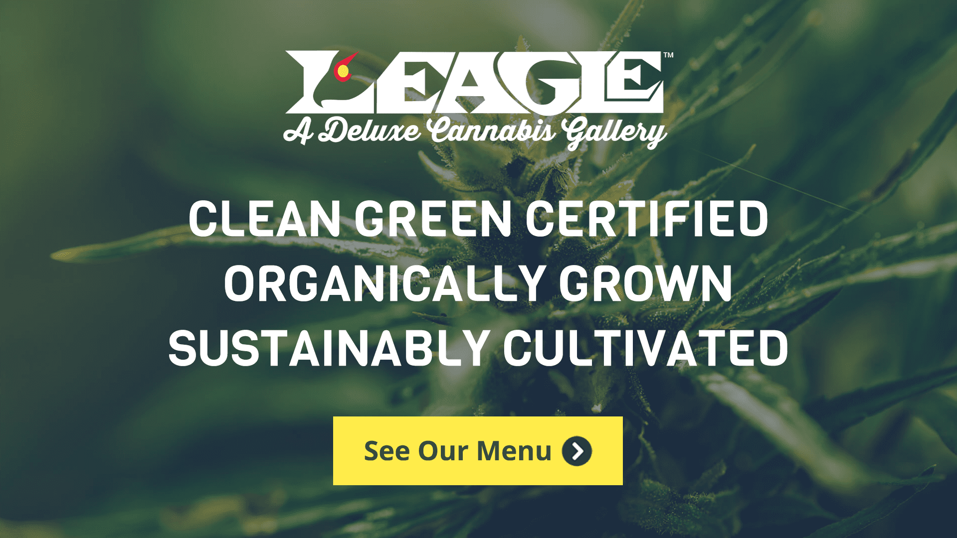 L'Eagle Services LLC