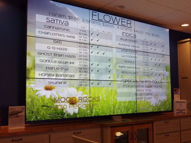 The Verdes Foundation