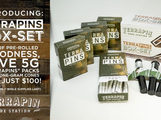 Terrapin Care Station