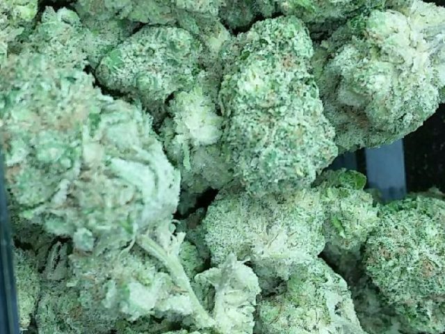 Universal Herbs Park Ave