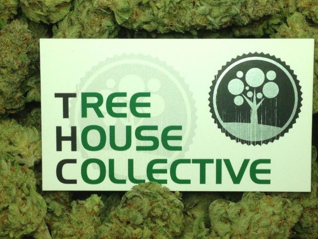 TreeHouse Collective