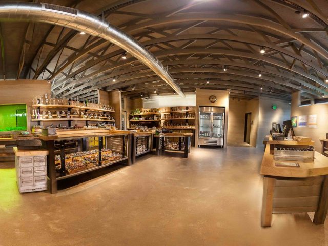 Five Zero Trees West