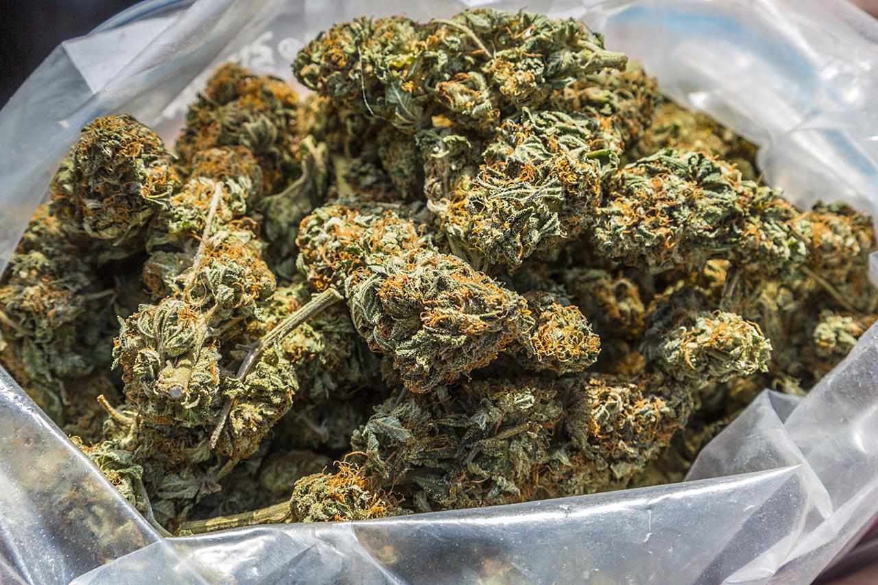 MMJDoctorOnline.com - Hayward
