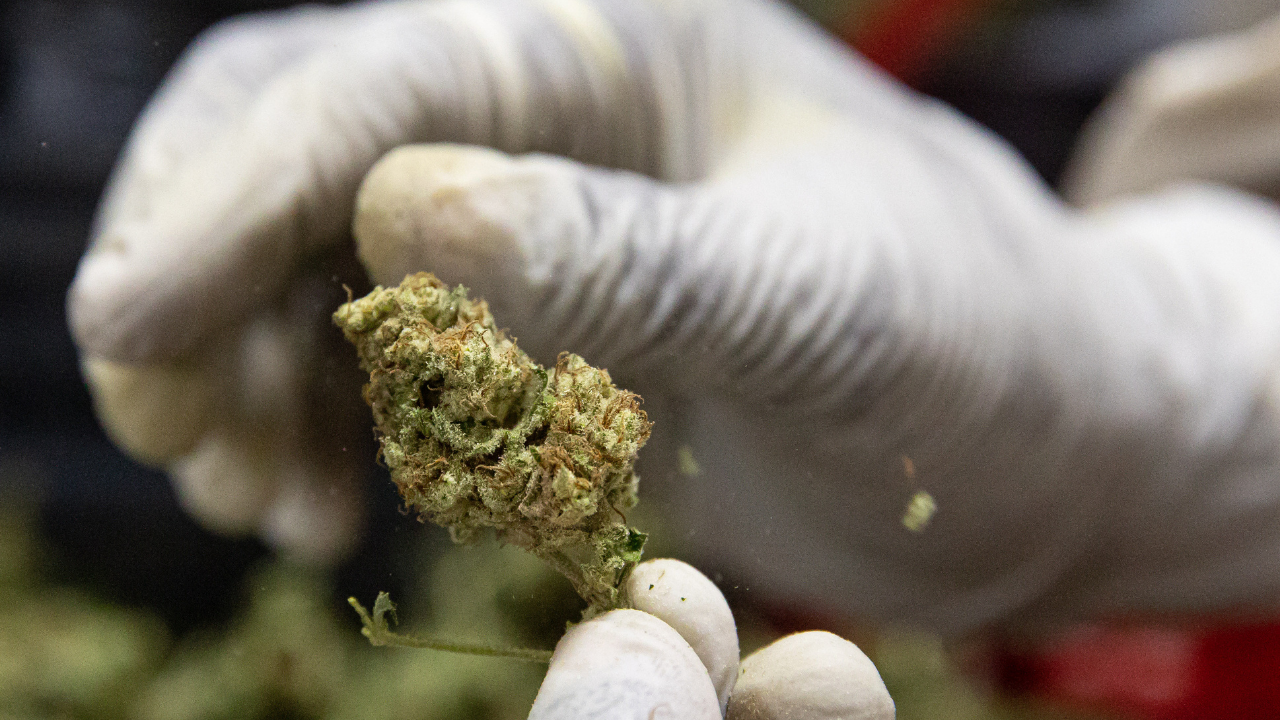 420EvaluationsOnline - El Monte