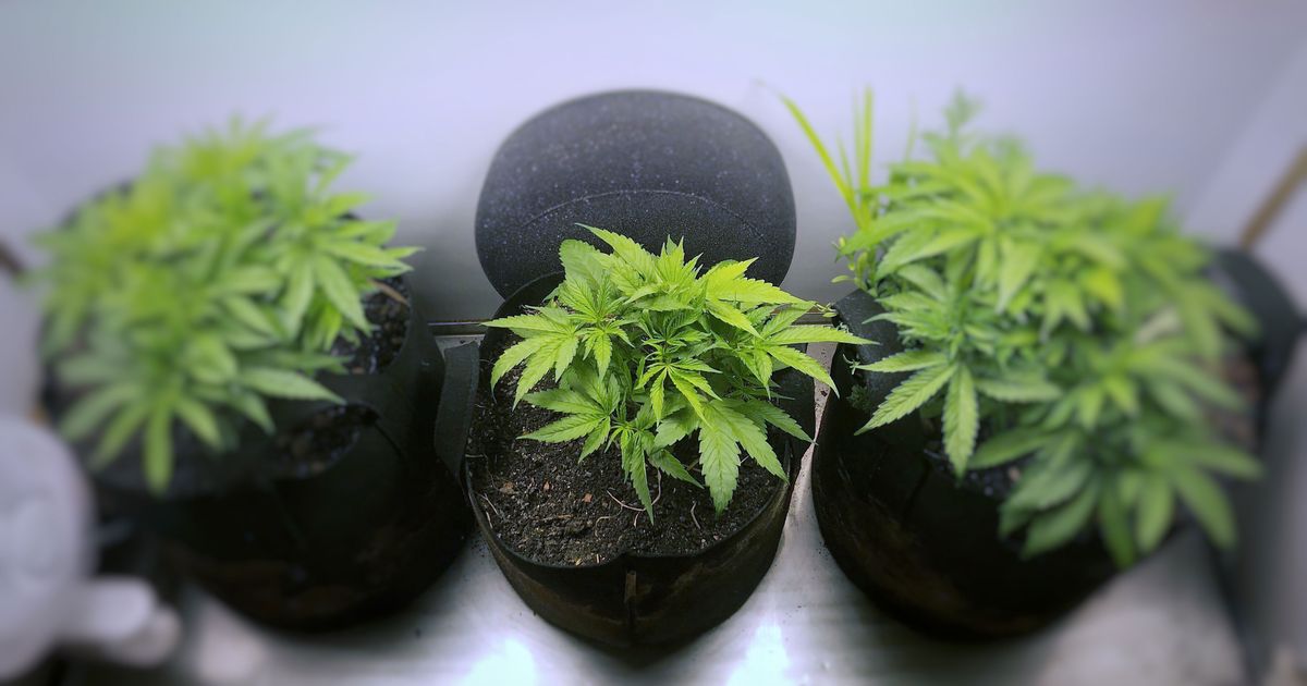 420EvaluationsOnline - Fullerton