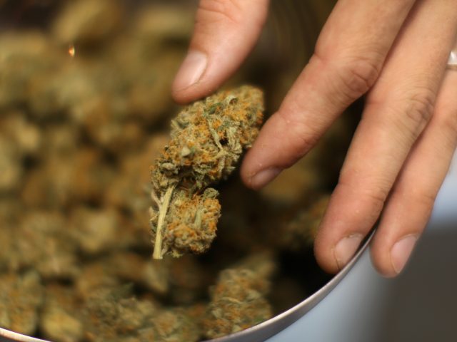 Canna Relief Consulting