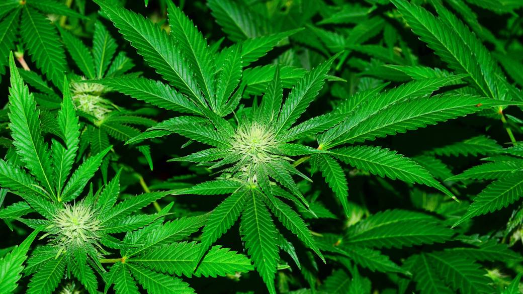 PrestoDoctor.com (100% online) - Long Island City