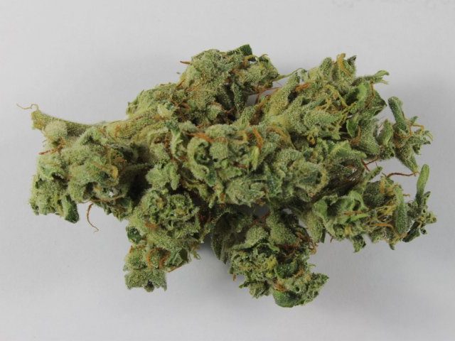 420 Evaluations - Medical Marijuana Card Doctor's Recommendation Cultivation License