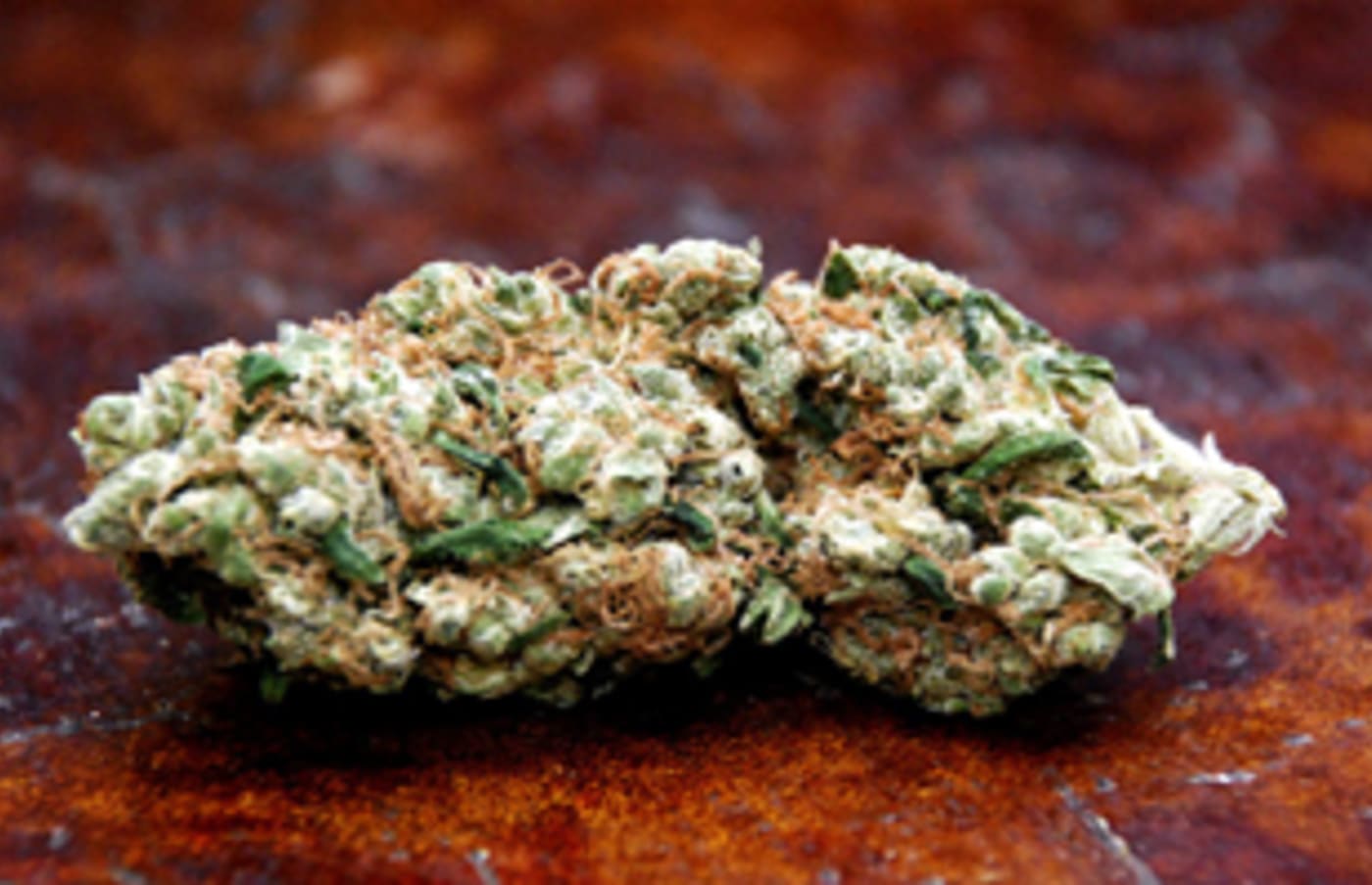 Doc420