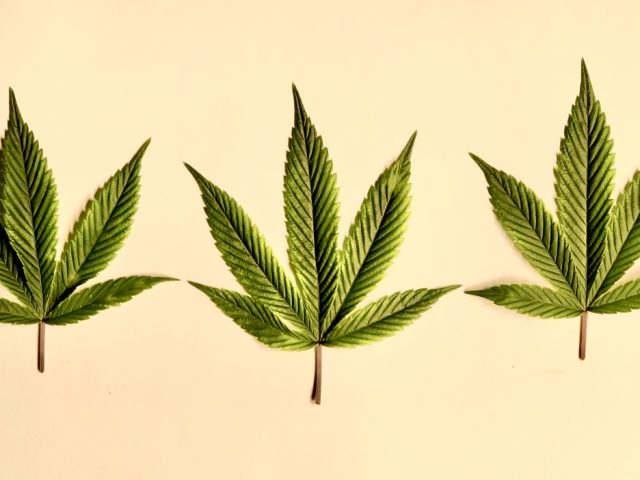 Compassionate Alternative Medicine