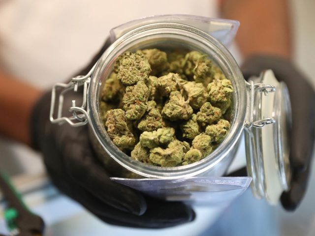 420EvaluationsOnline - Berkeley