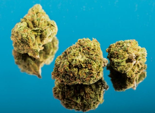 Green Wellness - Spokane