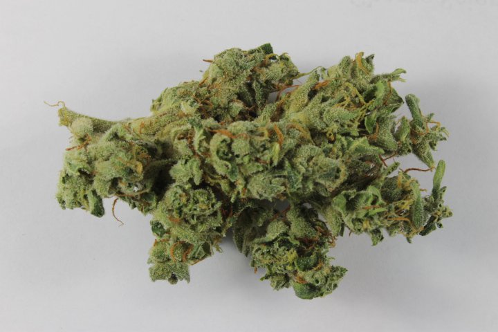 420EvaluationsOnline - Redding