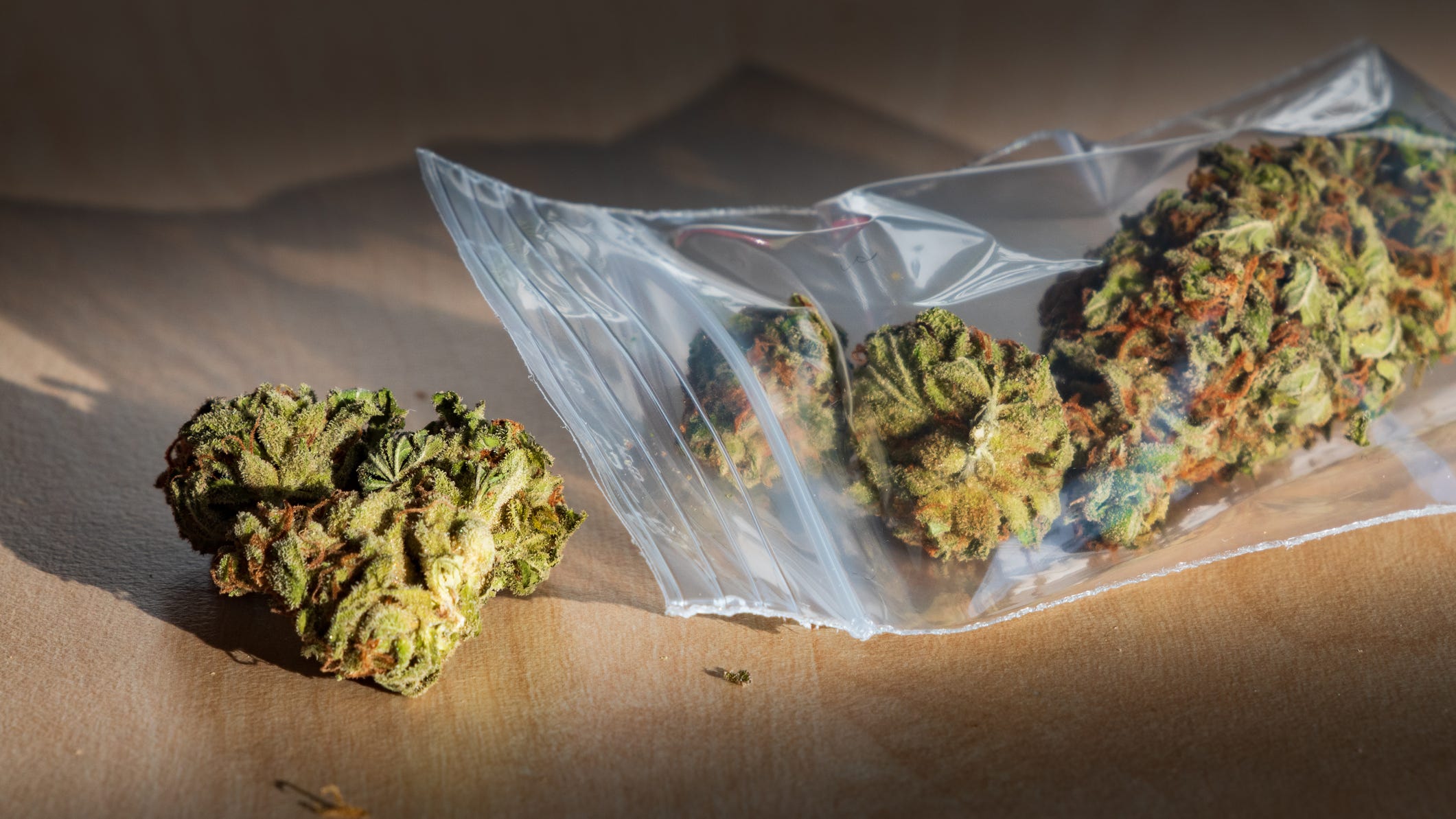 Lotus Health - Dayton