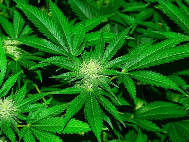 HyTek Medical - Pittsburgh