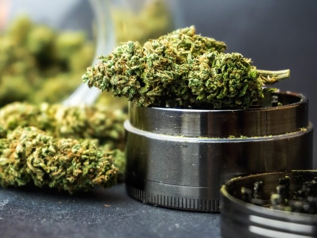 Dr. Judith Major, MD