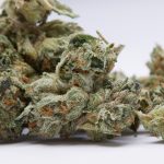 Medical Marijuana Clinic of Washington State