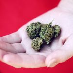 The American Cannabinoid Clinics - Medford