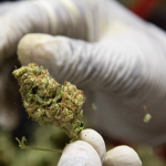 Green Clinics - St. Joseph