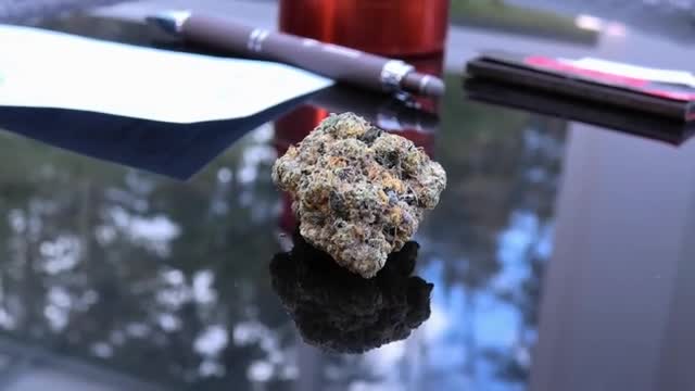 Gary Payton Marijuana Monday