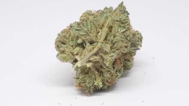 Ice Cream Cake cannabis strain review (amazing strain to chill)