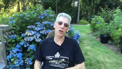 Wedding Cake Cannabis Strain Review